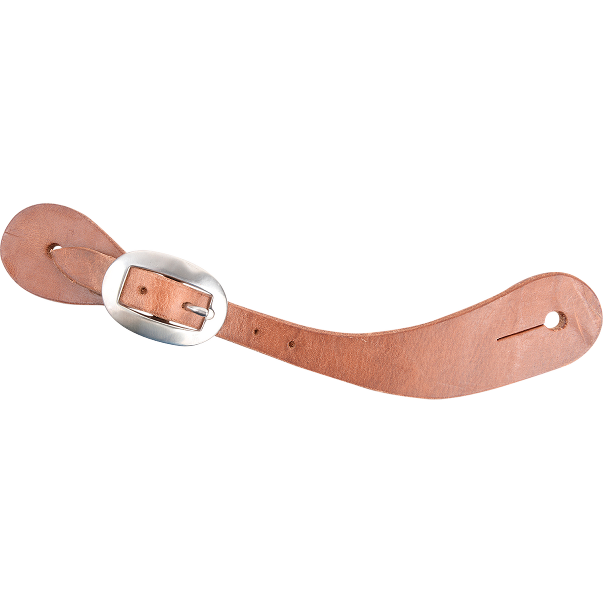 Chisholm harness leather spur strap, seen from above. The plain Hermann Oak harness leather has no tooling and fastens with a stainless steel buckle.