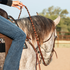 Rider on a gray horse seen from behind, lifting a chocolate laced barrel rein above the mane. The latigo lacing shows along the Martin Saddlery harness leather rein as it runs down to the bit.