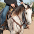 Martin Saddlery chocolate roughout breastcollar on a gray horse, seen from the front with the rider holding the reins. The shoulder straps with rosettes and latigo strings meet at the center of the chest, and a tie-down strap runs down between the front legs.