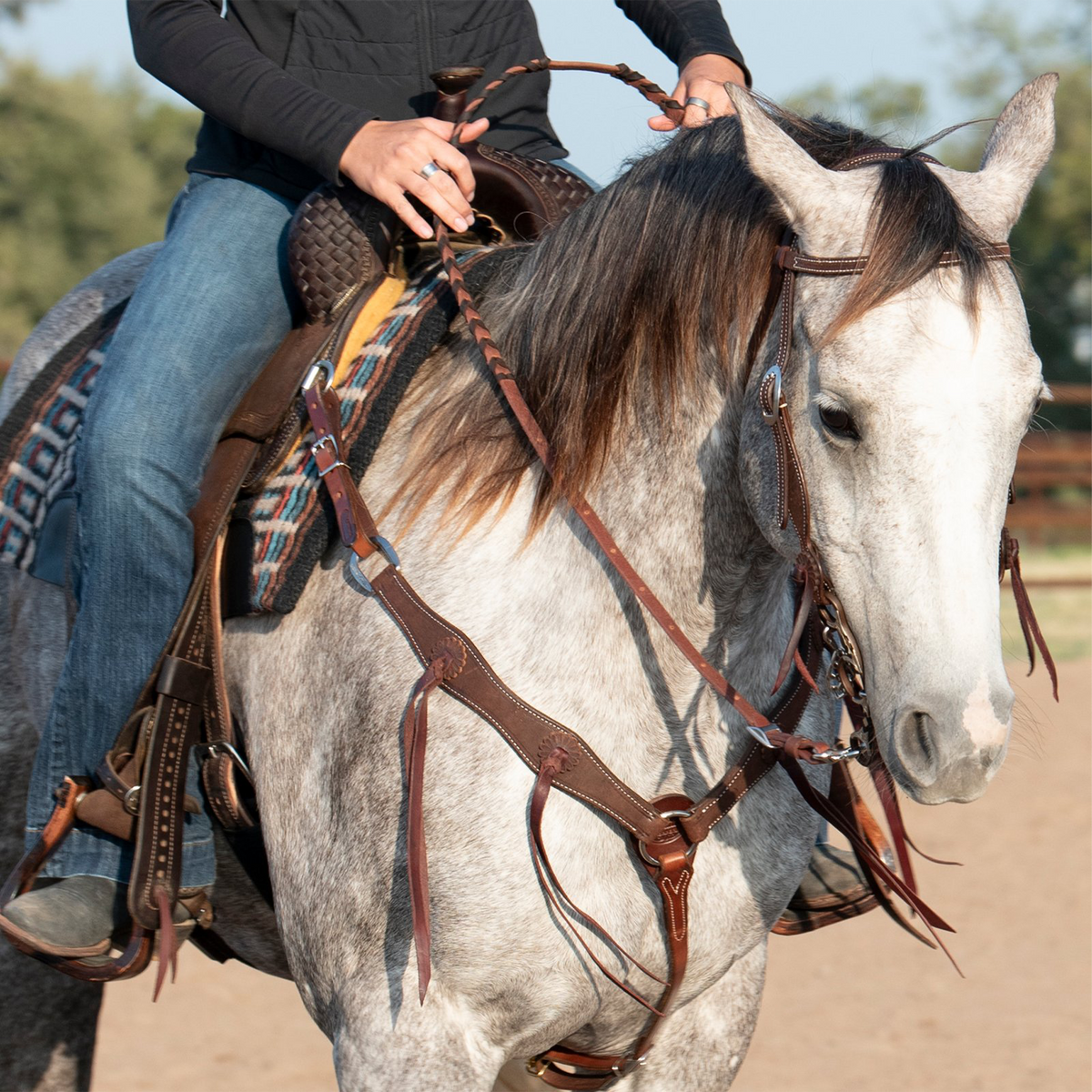 Martin Saddlery chocolate roughout breastcollar on a gray horse, seen from the front with the rider holding the reins. The shoulder straps with rosettes and latigo strings meet at the center of the chest, and a tie-down strap runs down between the front legs.