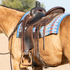 Dark western saddle on a buckskin horse with a chocolate stirrup hobble strap buckled around the stirrup leather above the stirrup. A blue woven saddle blanket sits under the saddle.