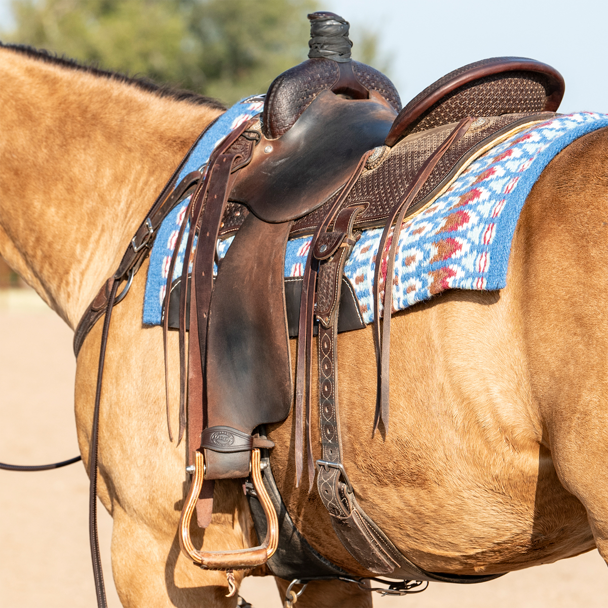 Dark western saddle on a buckskin horse with a chocolate stirrup hobble strap buckled around the stirrup leather above the stirrup. A blue woven saddle blanket sits under the saddle.