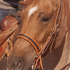 Red roan horse seen up close wearing a Martin Saddlery chocolate stitched harness noseband. The dark leather center with white stitching sits on a lighter leather lining across the nose.