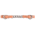 Harness flat curb chain laid out straight. A flat stainless steel chain sits between two light harness leather ends with stainless steel buckles.