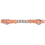 Harness flat curb chain laid out straight. A flat stainless steel chain sits between two light harness leather ends with stainless steel buckles.