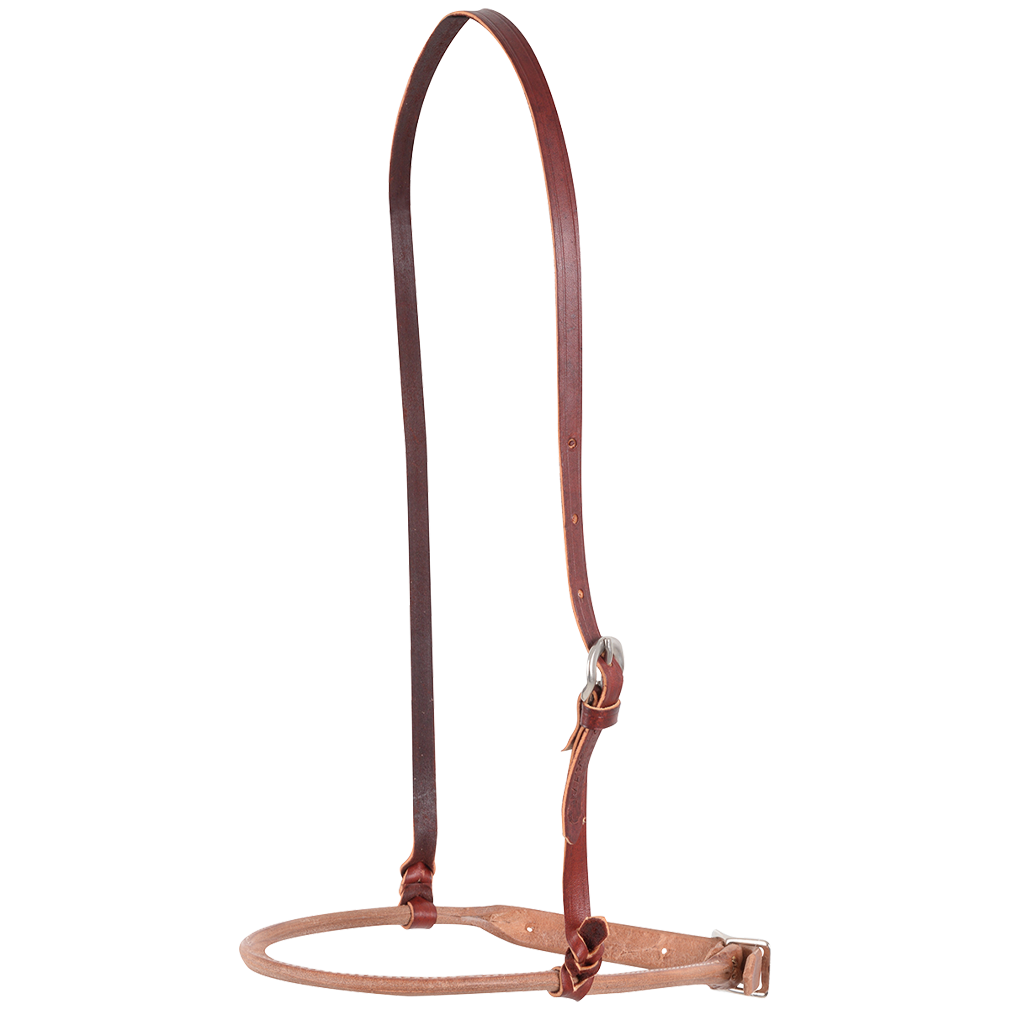 Harness leather cavesson from Martin Saddlery, seen in full. A dark leather crown strap with a buckle holds a rounded harness leather noseband with its own adjustment buckle.