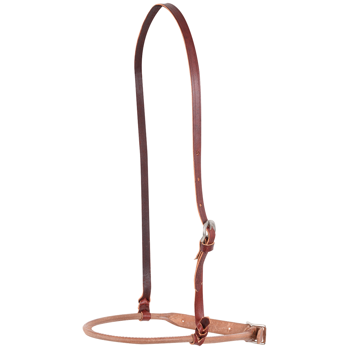 Harness leather cavesson from Martin Saddlery, seen in full. A dark leather crown strap with a buckle holds a rounded harness leather noseband with its own adjustment buckle.