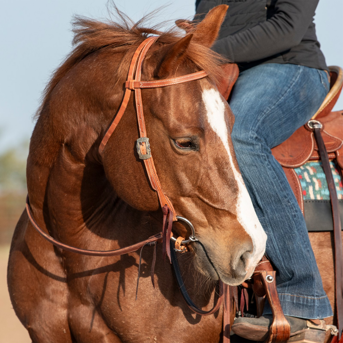 Harness leather browband headstall from Martin Saddlery on a sorrel horse with a rider in the saddle. The browband crosses below the ears and the cheek buckle sits beside the eye.