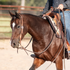 Bay horse with a white blaze wearing a Martin Saddlery harness leather split ear headstall, ridden in an outdoor arena. Natural leather runs down the cheek to a cart buckle and bit ties.