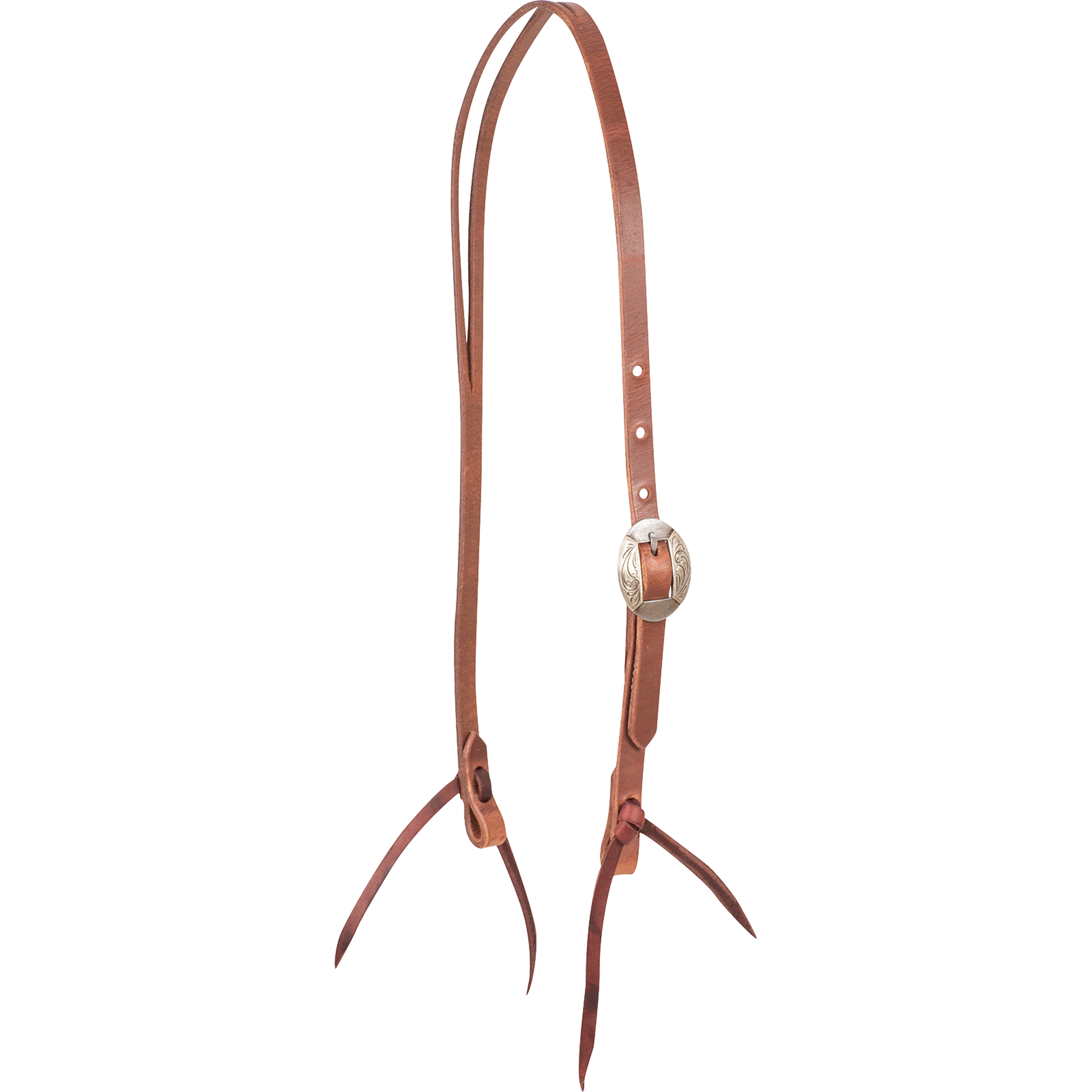 Natural harness leather split ear headstall with a Canyon buckle, seen from the front quarter. An engraved oval buckle adjusts the cheek of the 5/8-inch strap, and latigo ties hold the bit.
