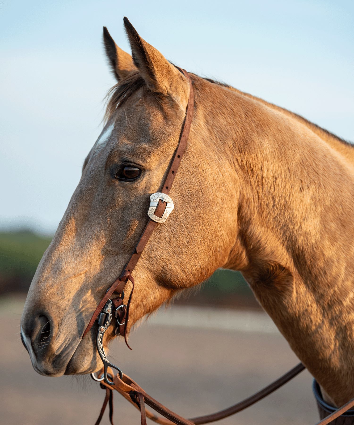 Headstalls
