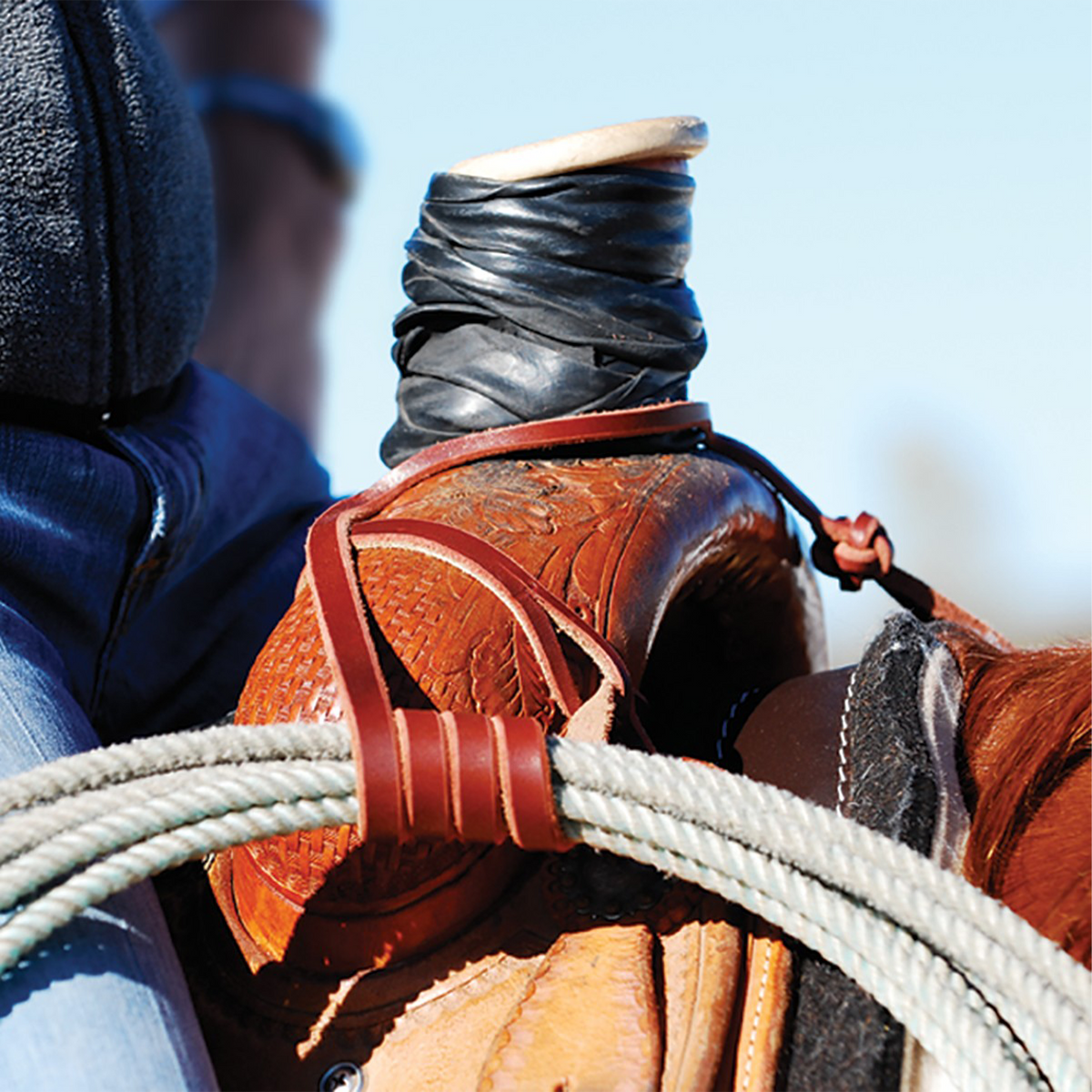 Leather rope strap with a button knot holding a coiled rope below a wrapped saddle horn. The latigo strap wraps the coils and hooks over the horn, with the button knot at the swell.