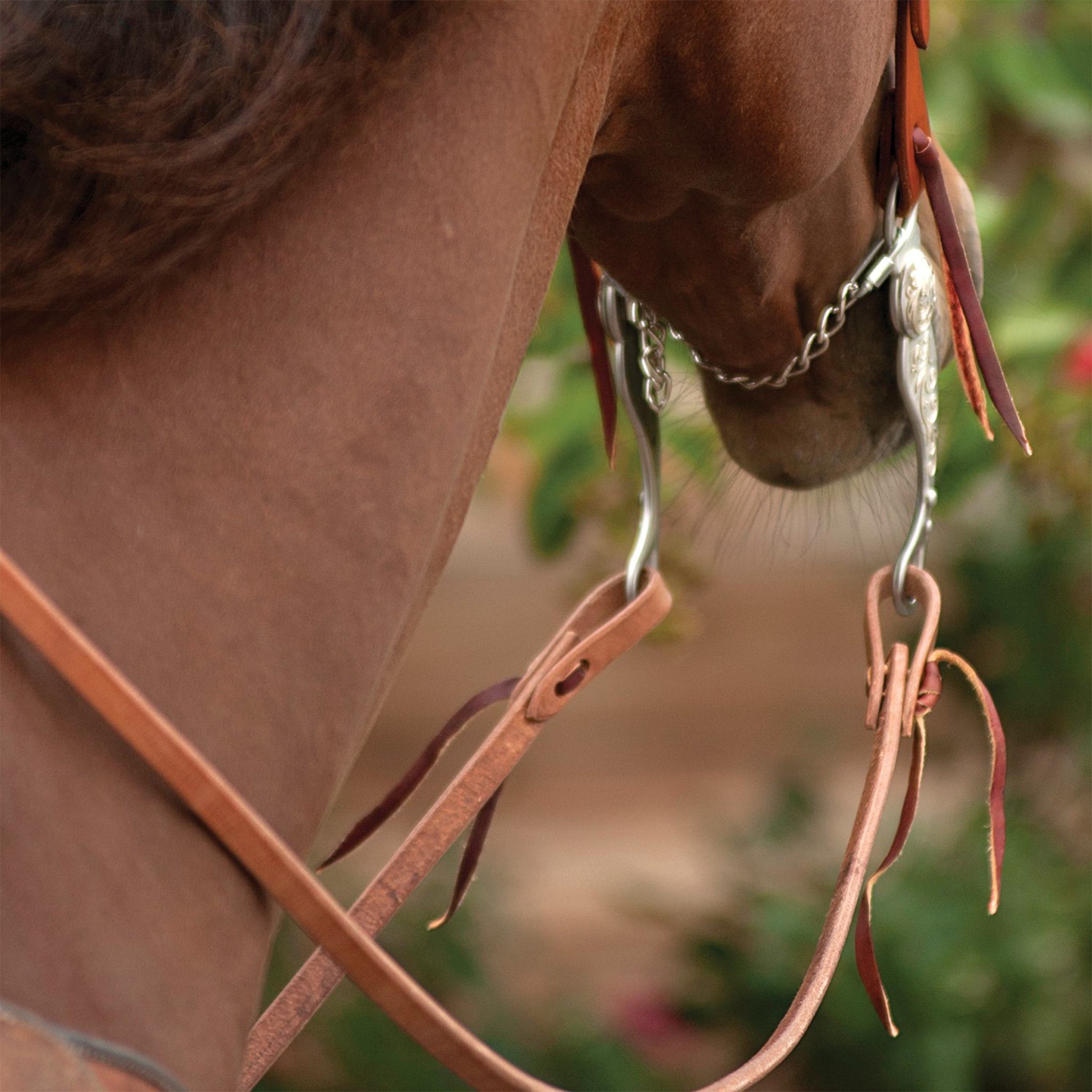 Natural harness split reins tied to a shank bit on a sorrel horse, seen up close from the side. The water loops and leather ties hang below the bit against a blurred garden.