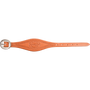 Natural smooth leather stirrup hobble strap from Martin Saddlery, laid flat and seen from above. The light strap carries border lines and the Martin maker stamp, with a cart buckle at one end.