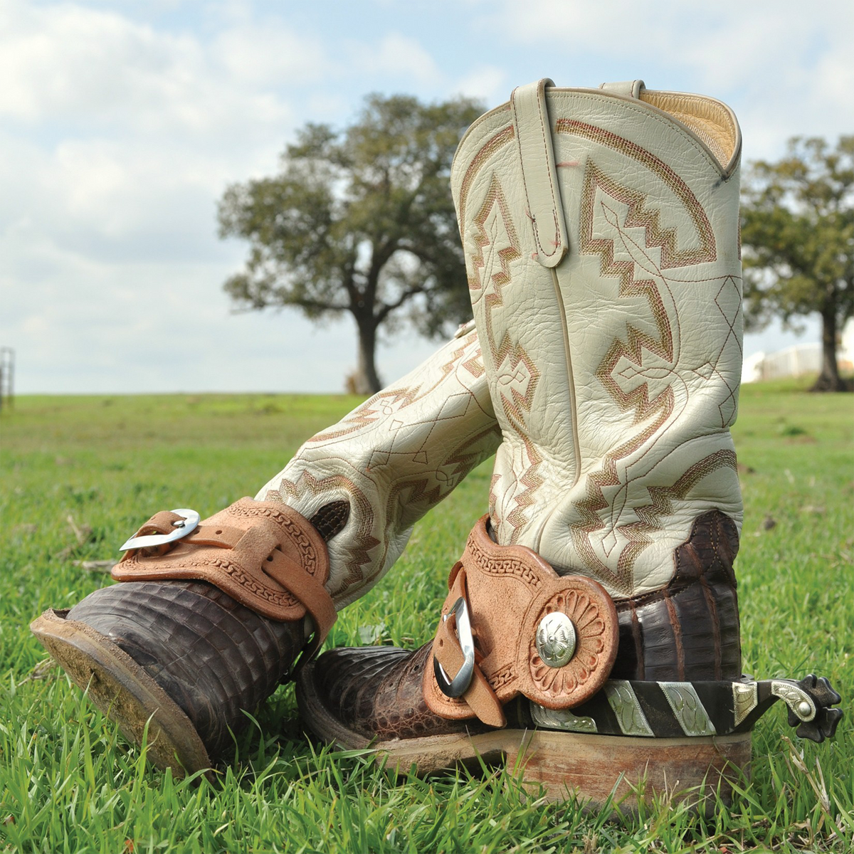 Natural roughout buckaroo spur straps on a pair of spurs worn over cowboy boots standing in grass. The tooled straps buckle across the boot insteps with oak trees behind.