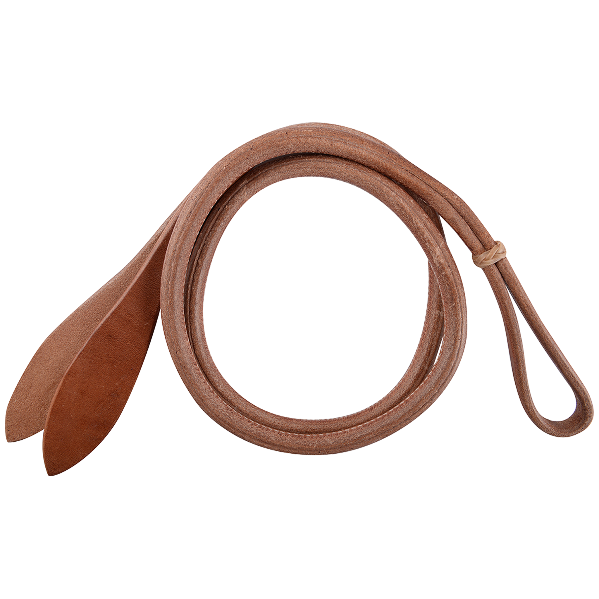 Over-and-under whip with popper, coiled and seen from above. The rolled harness leather whip has a loop at one end and wide flat poppers at the other.