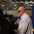 A man in a clay Performance Hat x Martin Saddlery stands beside a saddled horse in a barn. The clay snapback has a leather logo patch on the front.
