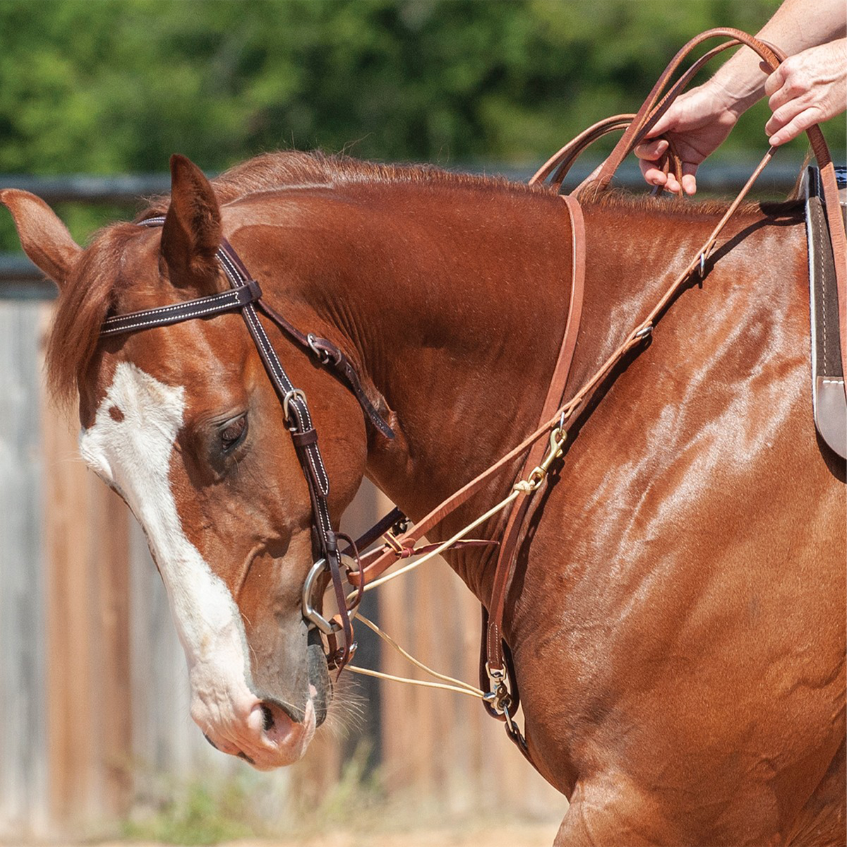 Sorrel horse with a blaze ridden in a Phil Haugen martingale split rein, with the rider's hands lifting the reins. Braided rope runs from the leather reins through the bit toward the cinch.