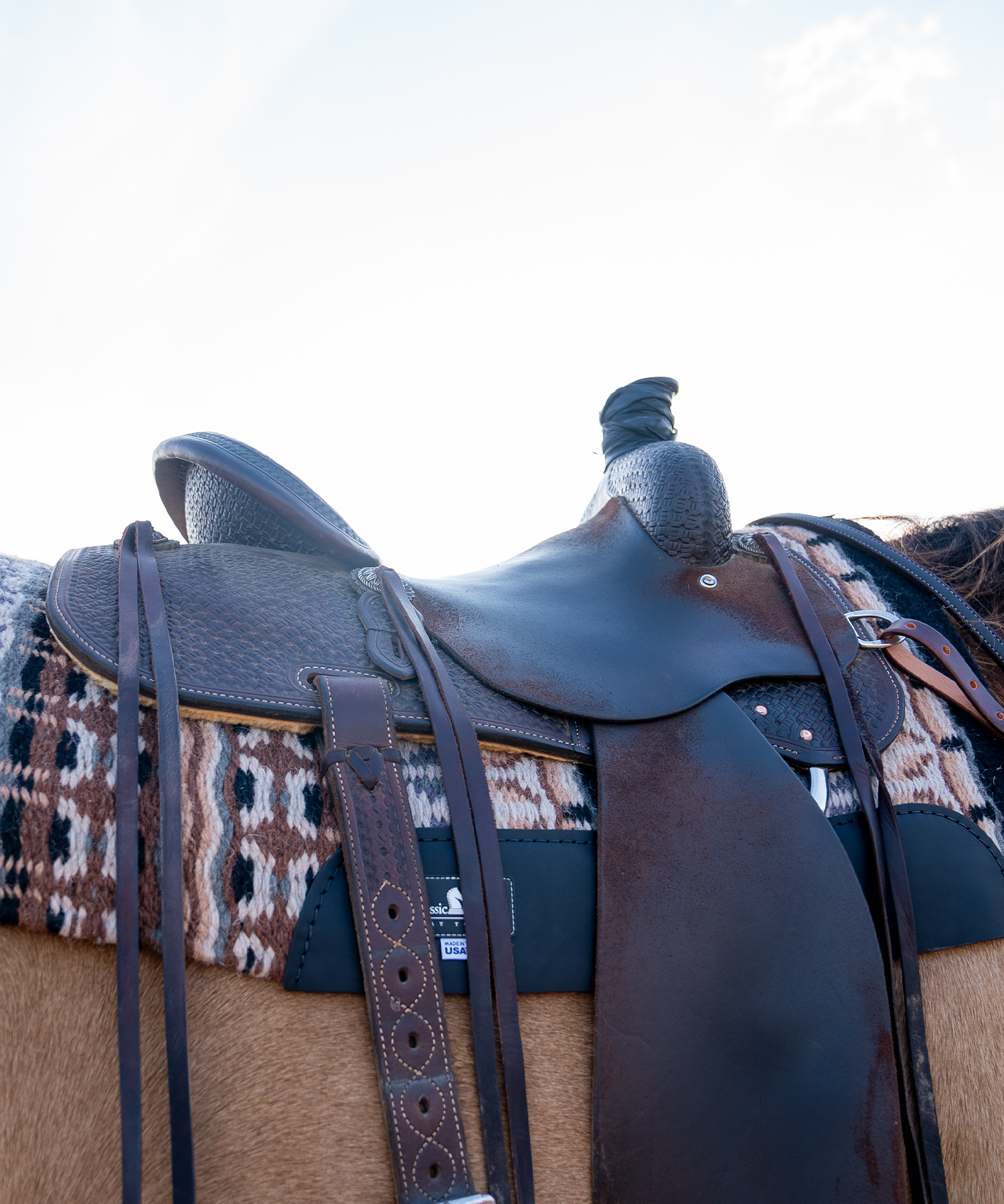 Ready to Ship Saddles