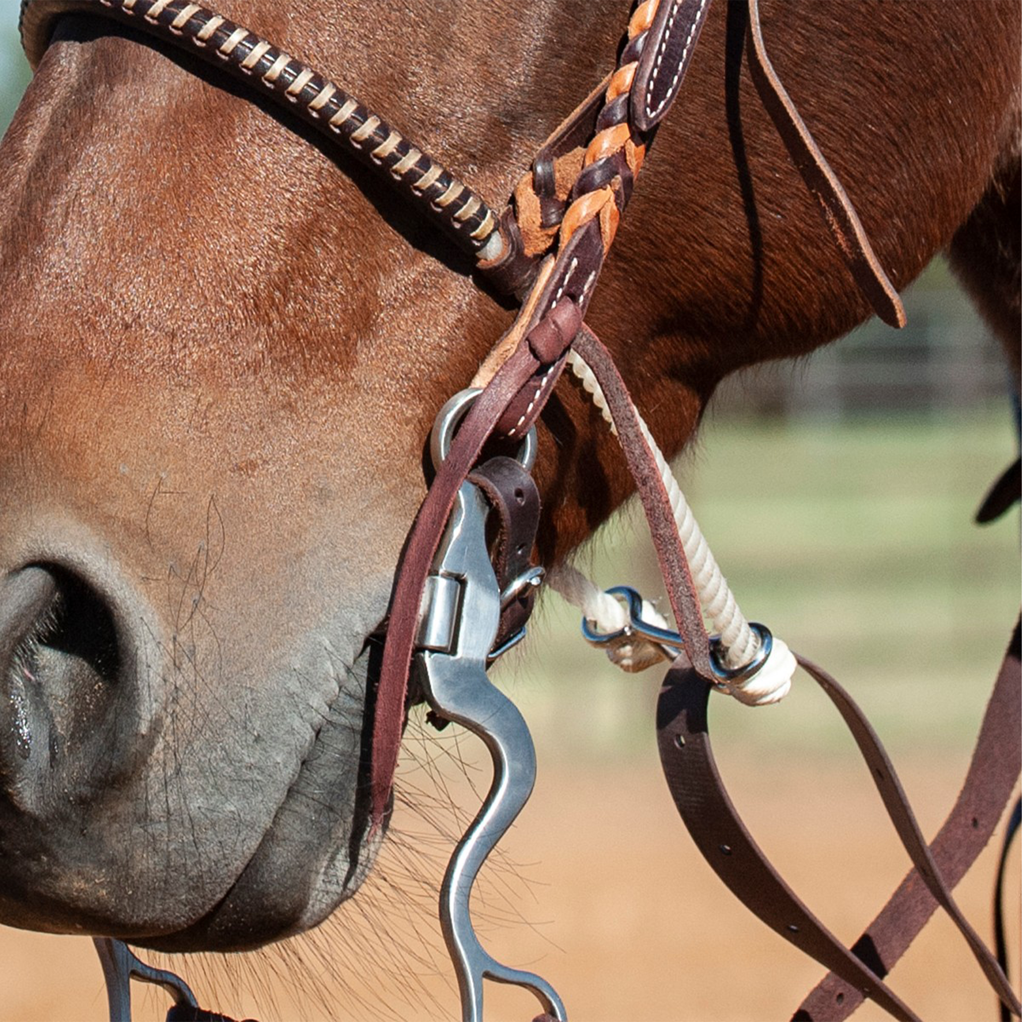 Latigo tie strings holding a bit to a headstall on a sorrel horse, seen up close at the muzzle. The dark leather ties knot through the cheek above the shank bit, beside a rope noseband.
