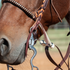 Latigo tie strings holding a bit to a headstall on a sorrel horse, seen up close at the muzzle. The dark leather ties knot through the cheek above the shank bit, beside a rope noseband.
