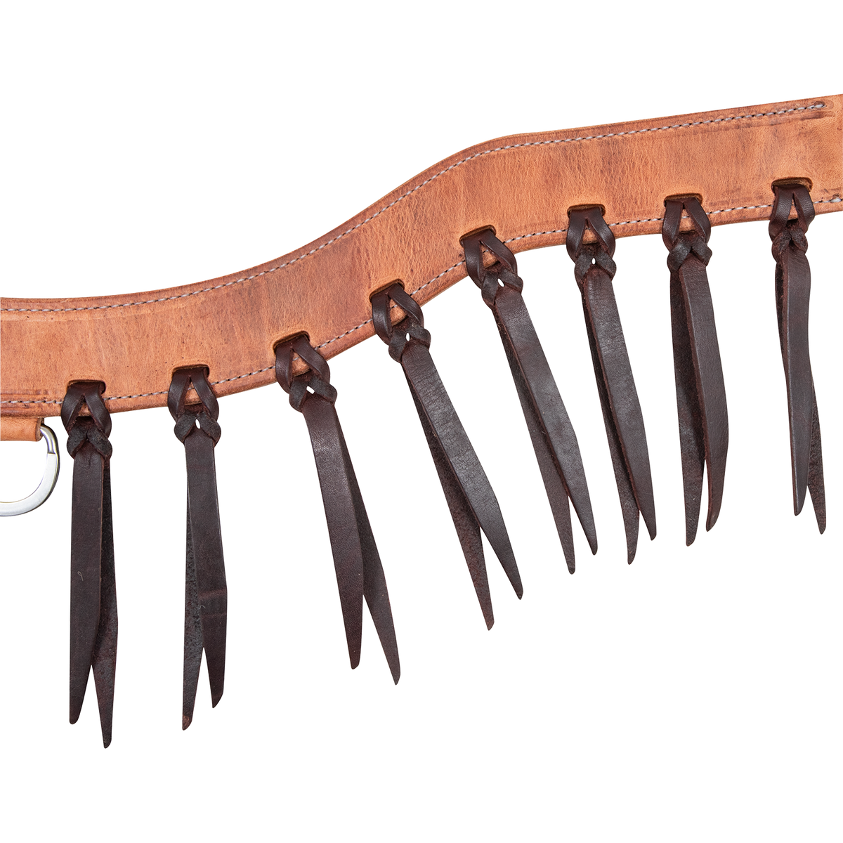 Harness leather breast collar strap with dark latigo strings tied through it in blood knots. The strings hang below the stitched edge of this Martin Saddlery steer roper breast collar.