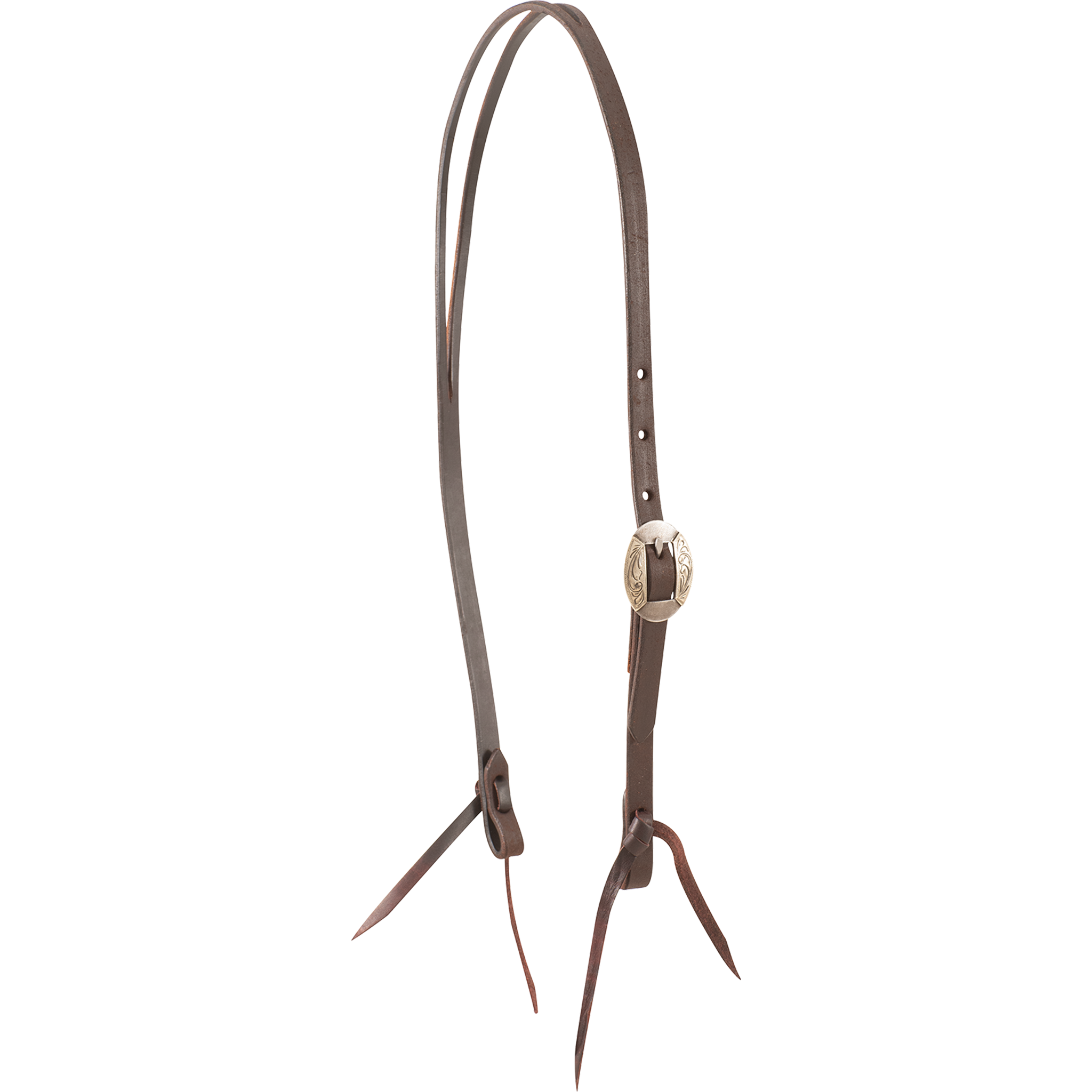 Chocolate roughout split ear headstall with a Canyon buckle, seen from the front quarter. An engraved oval buckle adjusts the cheek of the 5/8-inch strap, and latigo ties hold the bit.