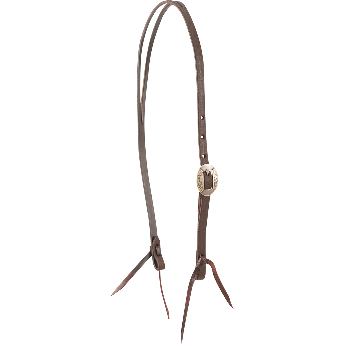 Chocolate roughout split ear headstall with a Canyon buckle, seen from the front quarter. An engraved oval buckle adjusts the cheek of the 5/8-inch strap, and latigo ties hold the bit.