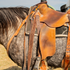 Stitched leather latigo hanging from the rigging of a tan saddle on a dapple gray horse. Decorative stitching runs down the dark strap beside the saddle fender.