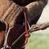 Tie-down hobble strap with a button knot hanging from a mohair cinch on a horse, seen up close. The leather hobble loops through the cinch ring and holds the tie-down strap.