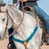 Martin Saddlery turquoise-black mohair breastcollar on a gray horse with a rider holding braided reins. The mohair strands cross the chest to a leather center piece with a tie-down strap, worn with a leather headstall.
