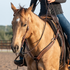 Martin Saddlery weathered antique breastcollar on a buckskin horse walking toward the camera with a rider. The weave tooled shoulder straps meet at the center of the chest above a tie-down strap.