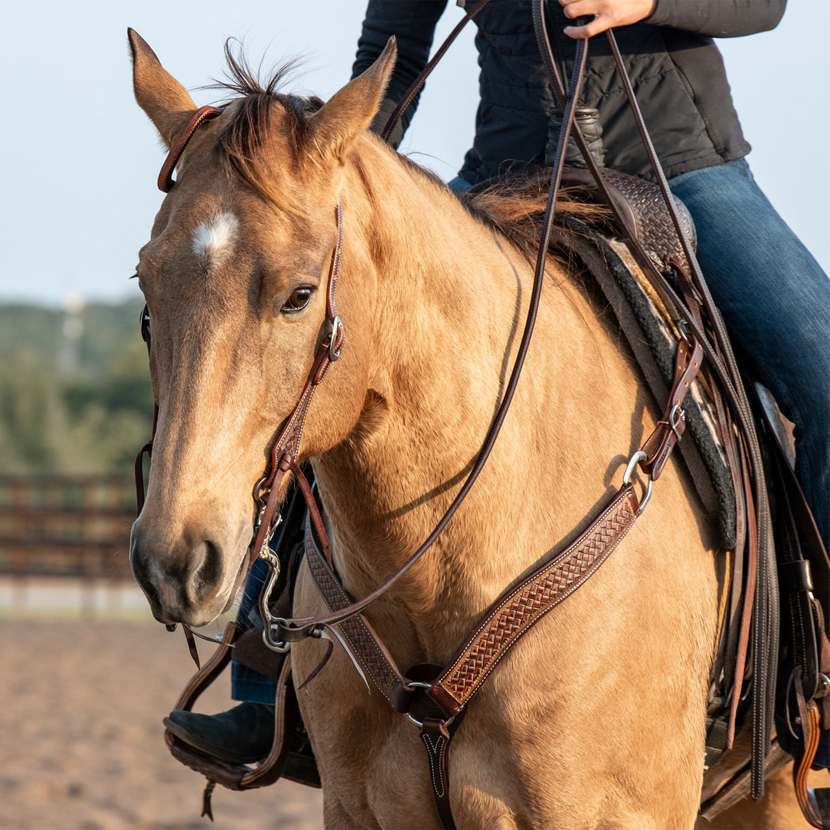 Martin Saddlery weathered antique breastcollar on a buckskin horse walking toward the camera with a rider. The weave tooled shoulder straps meet at the center of the chest above a tie-down strap.