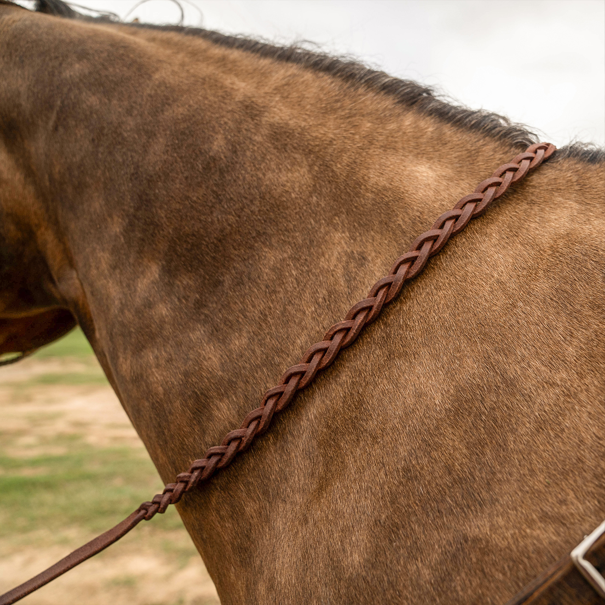 Natural harness leather braided barrel rein lying across the neck of a buckskin horse. The flat braid runs from the withers down the neck toward the bit.