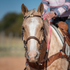 Palomino horse with a rider in a striped shirt, wearing a natural leather noseband under a browband headstall. A breastcollar sits across the chest below the reins.