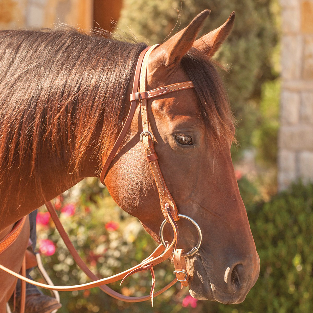 Bay horse in profile wearing a natural roughout browband headstall, with flowers and a stone wall behind. The roughout straps buckle at the cheek and tie to a ring snaffle bit.