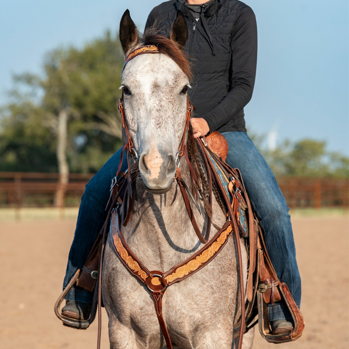 Gray horse facing the camera with a rider, wearing a natural scroll tooled breast collar. The tooled shoulder straps meet at a center ring on the chest above a tie-down strap, in an outdoor arena.