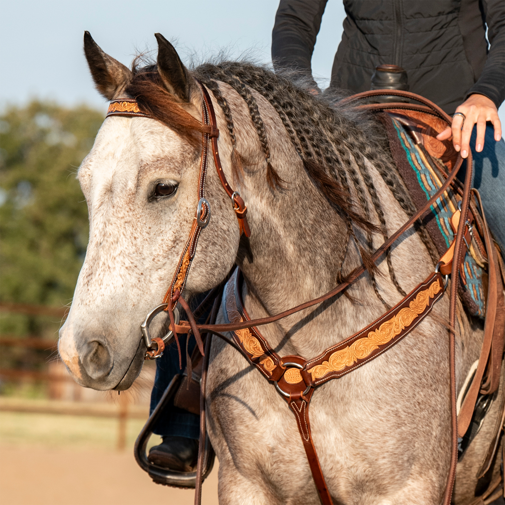 Gray horse with a braided mane wearing a natural scroll tooled browband headstall, with a rider in the saddle. The tooled browband sits below the ears, and a tooled breastcollar crosses the chest.