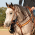 Gray horse with a braided mane wearing a natural scroll tooled browband headstall, with a rider in the saddle. The tooled browband sits below the ears, and a tooled breastcollar crosses the chest.