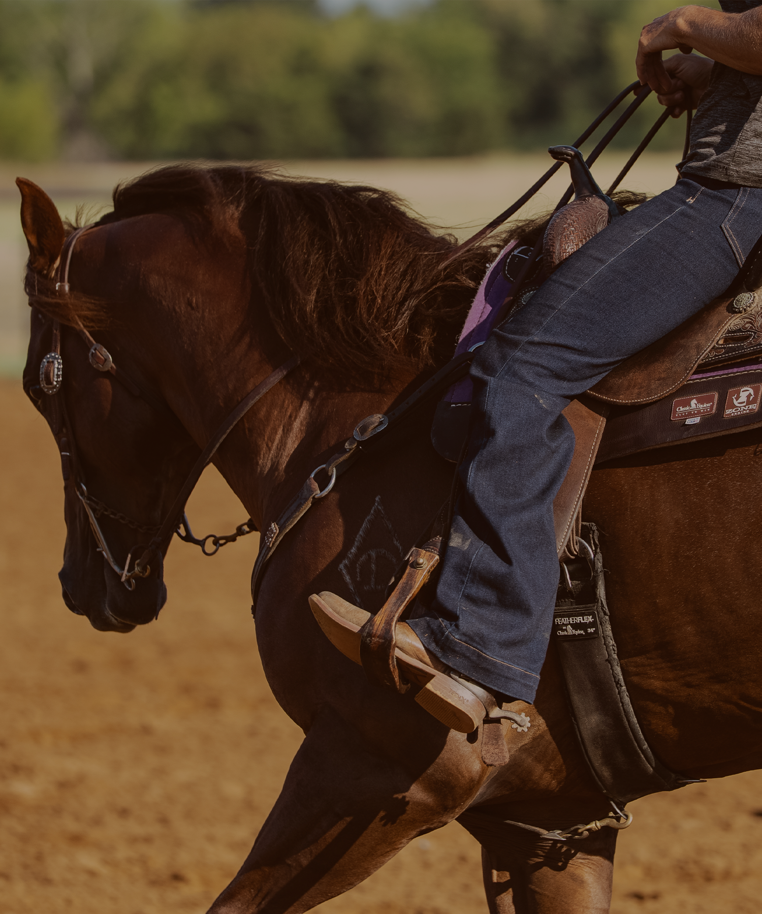 Reins