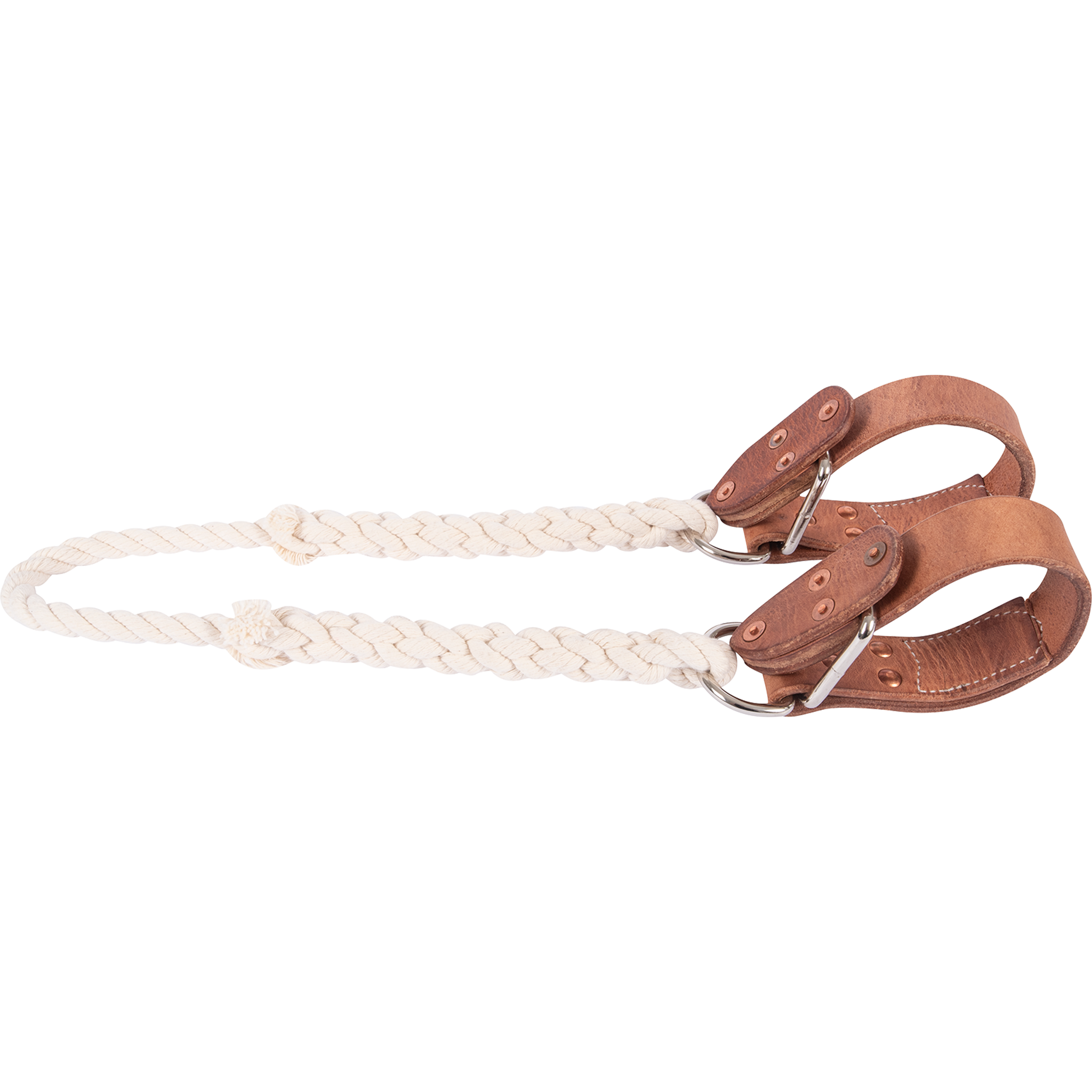 Sideline hobbles, laid flat and seen from above. Braided white rope joins leather pastern straps with rings and riveted leather tabs.