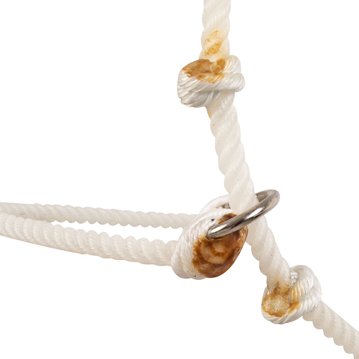 Knots and a metal ring on a white rope headsetter, seen up close. The noseband rope passes through the ring between knots with sealed ends.