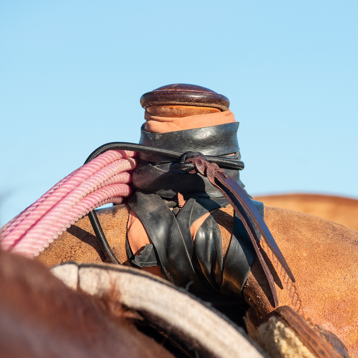 Rope strap with bungee cord seen from the other side of the saddle horn, holding a pink rope. The latigo tie hangs down from the bungee loop over the swell.