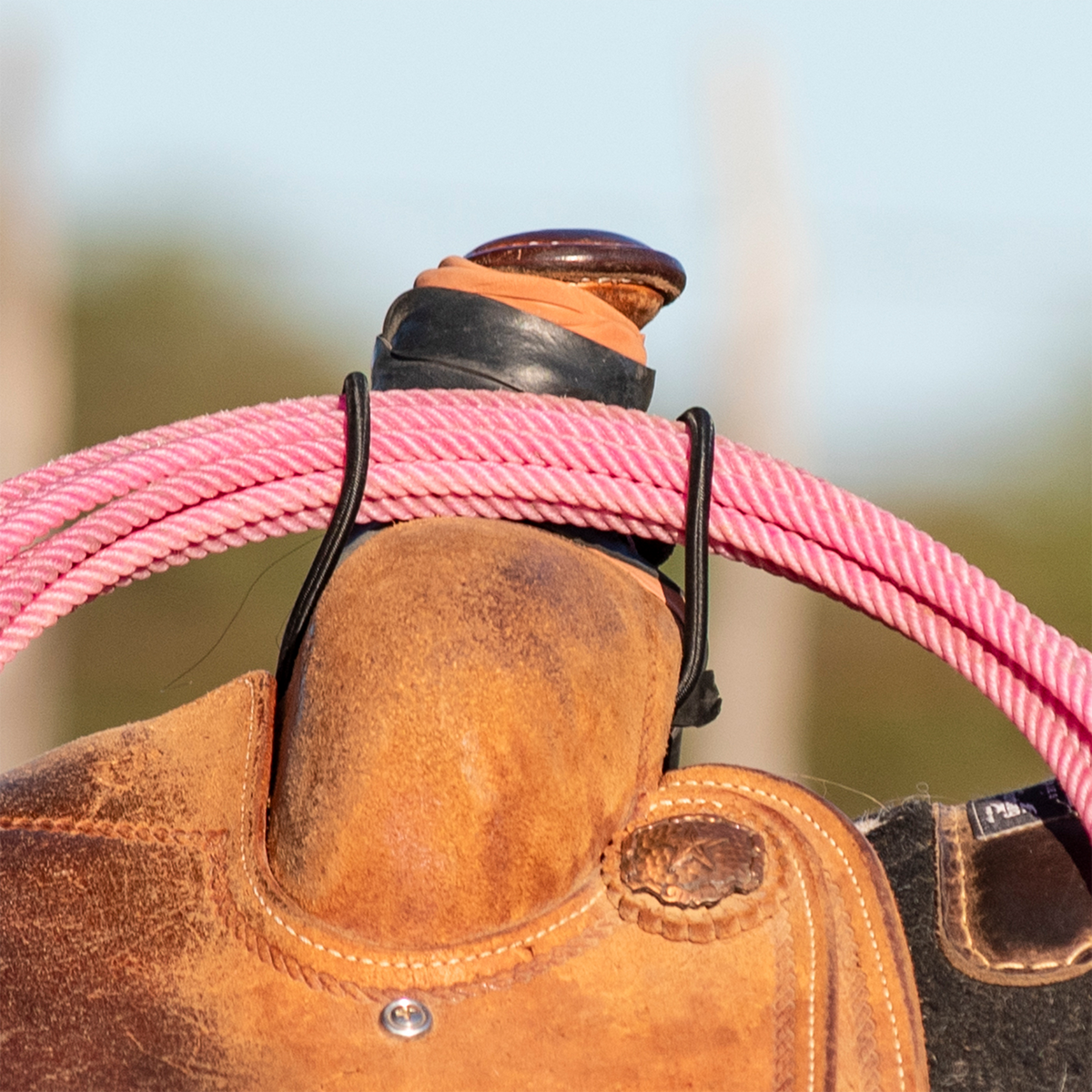 Coiled pink rope held across the swell of a roughout saddle by a black bungee rope strap, seen from the front. The bungee loops run down each side of the swell.