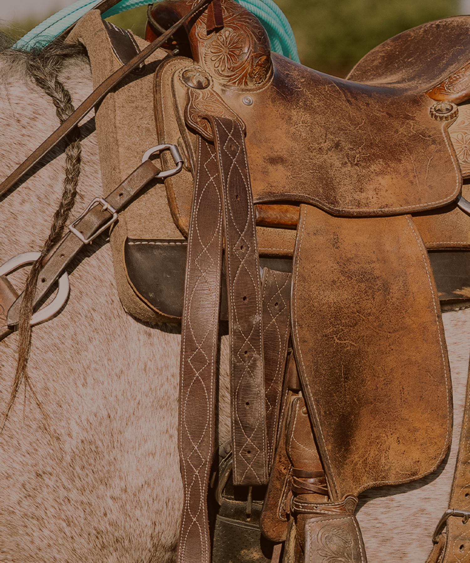 Saddle Accessories
