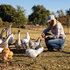 A woman in a silver performance cap crouches in a pasture feeding geese and chickens. She wears the cap with a long-sleeve shirt and jeans on a sunny day.
