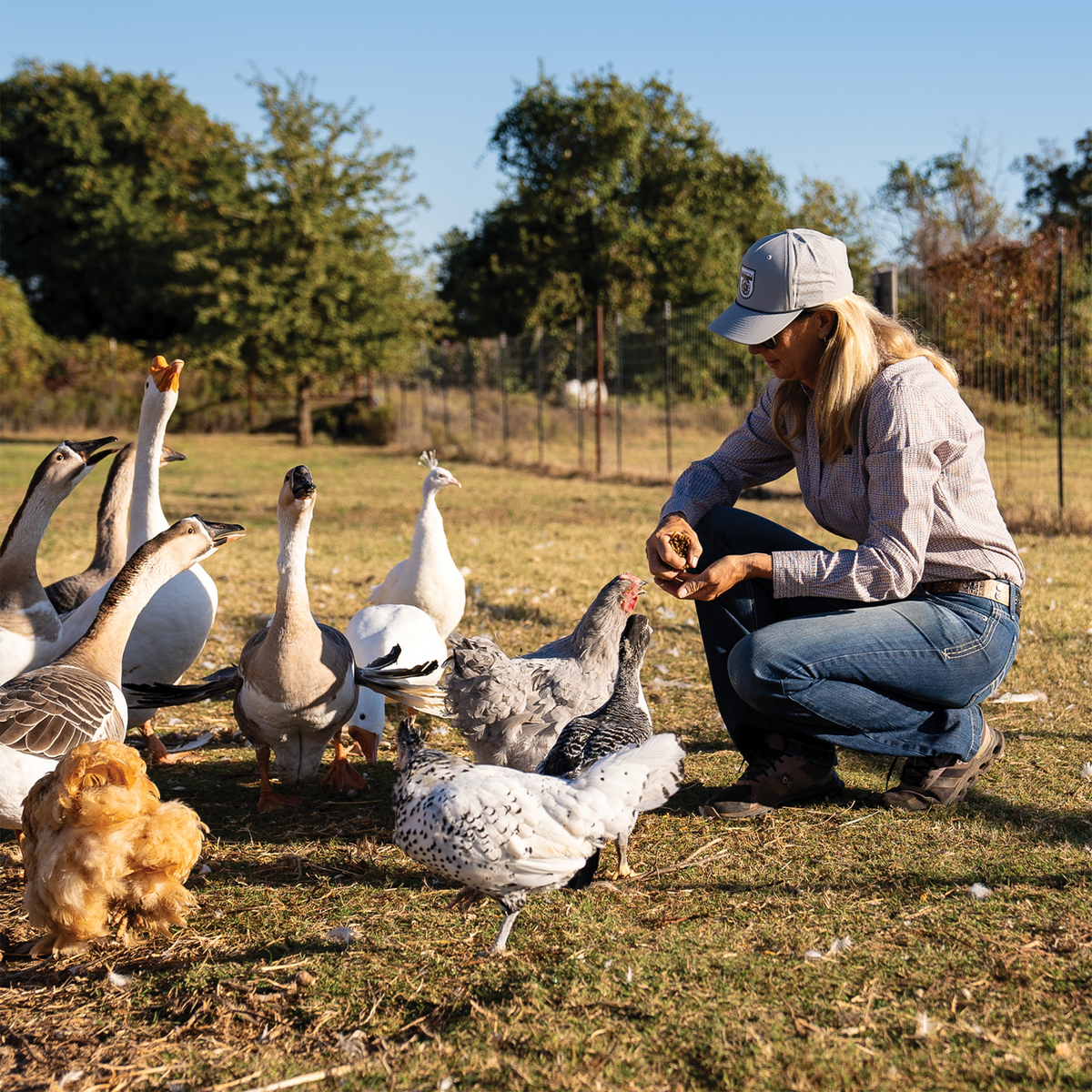 A woman in a silver performance cap crouches in a pasture feeding geese and chickens. She wears the cap with a long-sleeve shirt and jeans on a sunny day.