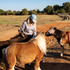 A woman in a smoke blue cap bends to pet miniature horses in a dirt lot on a sunny day. The western snapback cap shades her face as she works with the animals.
