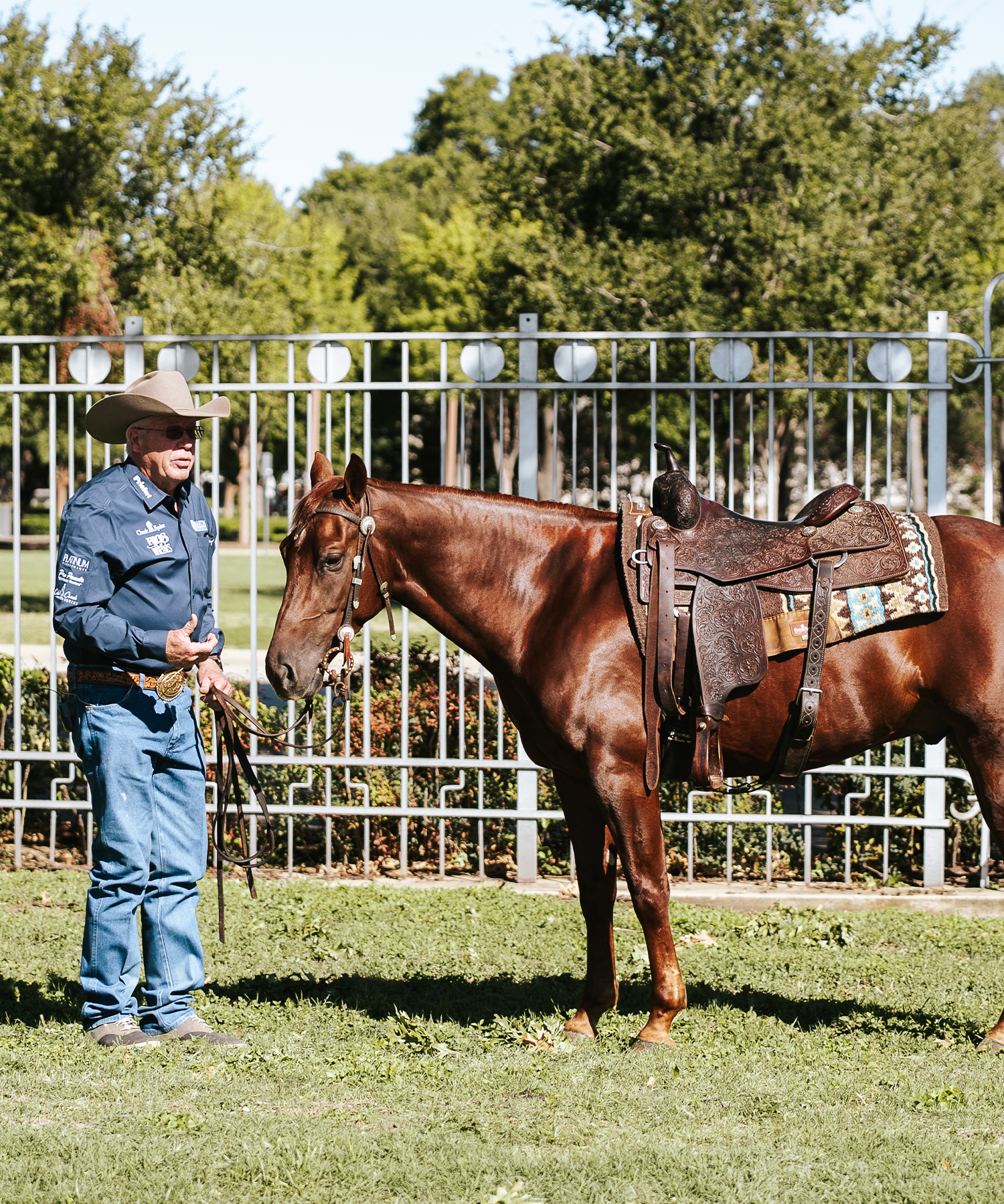 Performance Saddle