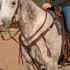 Western breast collar in chocolate roughout leather on a gray horse with a rider in the saddle, seen from the front quarter. Long latigo strings hang from the rosettes on both shoulder straps as the horse stands in an outdoor arena.